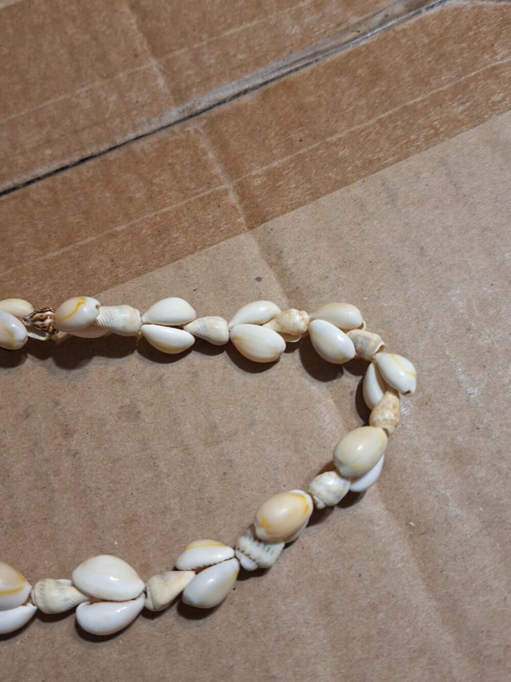 shell necklace - Picture 5 of 12